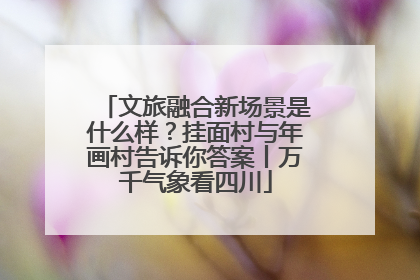 文旅融合新场景是什么样？挂面村与年画村告诉你答案丨万千气象看四川