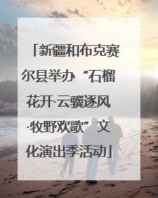 新疆和布克赛尔县举办“石榴花开·云骥逐风·牧野欢歌”文化演出季活动