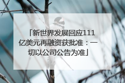 新世界发展回应111亿美元再融资获批准：一切以公司公告为准