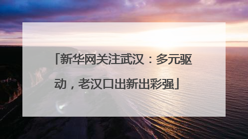 新华网关注武汉：多元驱动，老汉口出新出彩强