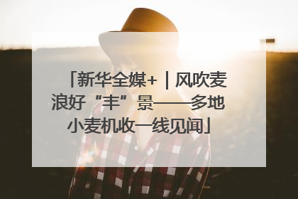 新华全媒+｜风吹麦浪好“丰”景——多地小麦机收一线见闻