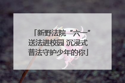 新野法院“六一”送法进校园 沉浸式普法守护少年的你