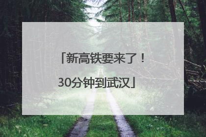 新高铁要来了！30分钟到武汉