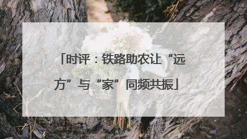 时评：铁路助农让“远方”与“家”同频共振