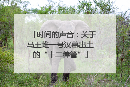 时间的声音：关于马王堆一号汉墓出土的“十二律管”
