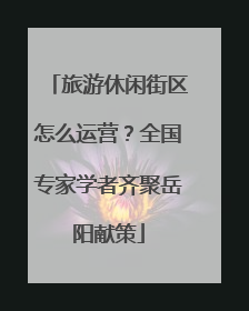 旅游休闲街区怎么运营？全国专家学者齐聚岳阳献策