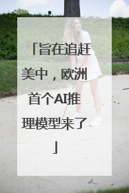旨在追赶美中，欧洲首个AI推理模型来了