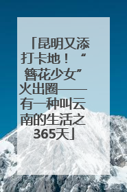 昆明又添打卡地！“簪花少女”火出圈——有一种叫云南的生活之365天