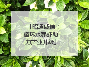 昭通威信：循环水养虾助力产业升级