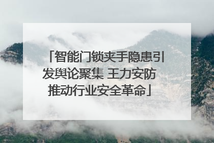 智能门锁夹手隐患引发舆论聚集 王力安防推动行业安全革命