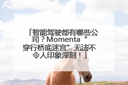 智能驾驶都有哪些公司？Momenta“穿行桥底迷宫”无法不令人印象深刻！