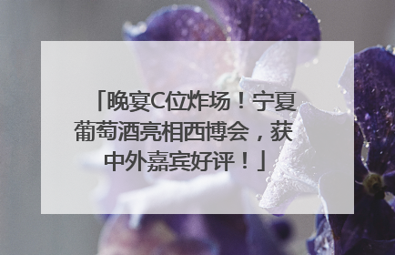 晚宴C位炸场！宁夏葡萄酒亮相西博会，获中外嘉宾好评！