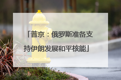 普京：俄罗斯准备支持伊朗发展和平核能
