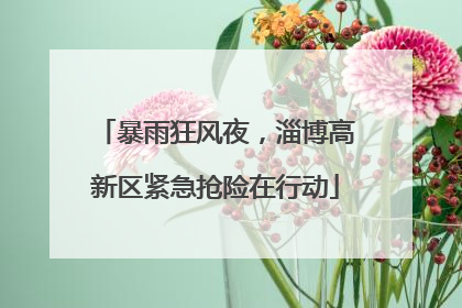 暴雨狂风夜，淄博高新区紧急抢险在行动