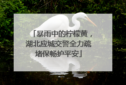 暴雨中的柠檬黄，湖北应城交警全力疏堵保畅护平安
