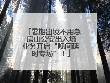 暑期出境不用急 房山公安出入境业务开启“晚间延时专场”！