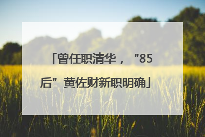 曾任职清华，“85后”黄佐财新职明确