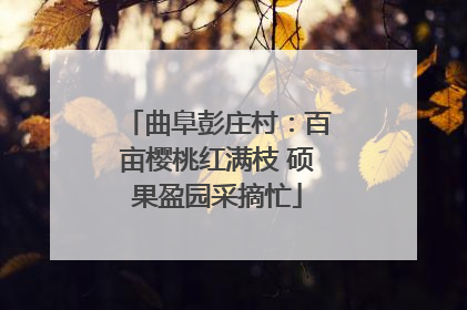 曲阜彭庄村：百亩樱桃红满枝 硕果盈园采摘忙