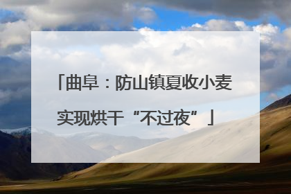 曲阜：防山镇夏收小麦实现烘干“不过夜”