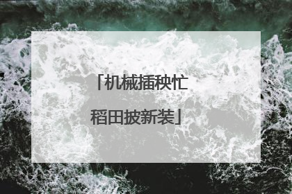 机械插秧忙 稻田披新装