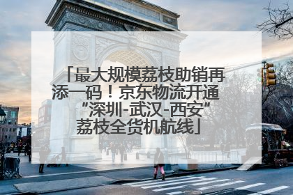 最大规模荔枝助销再添一码！京东物流开通“深圳-武汉-西安” 荔枝全货机航线