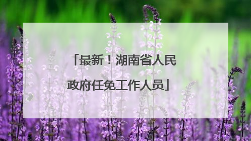 最新！湖南省人民政府任免工作人员