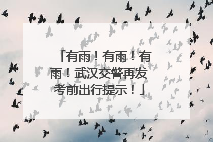 有雨！有雨！有雨！武汉交警再发考前出行提示！