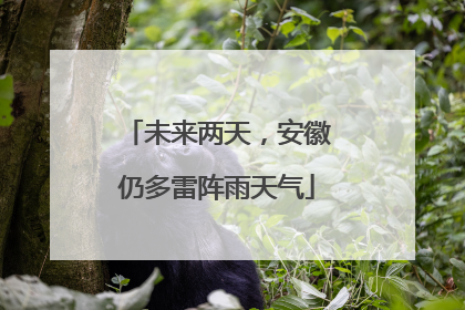 未来两天，安徽仍多雷阵雨天气