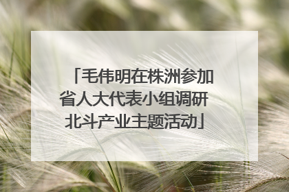 毛伟明在株洲参加省人大代表小组调研北斗产业主题活动