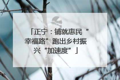 正宁：铺就惠民“幸福路”跑出乡村振兴“加速度”