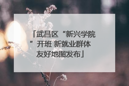 武昌区“新兴学院”开班 新就业群体友好地图发布