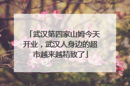 武汉第四家山姆今天开业，武汉人身边的超市越来越精致了