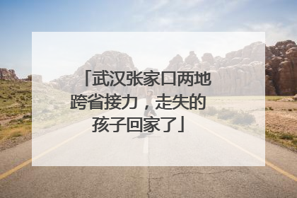 武汉张家口两地跨省接力，走失的孩子回家了