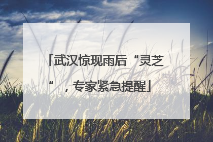 武汉惊现雨后“灵芝”，专家紧急提醒