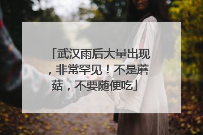 武汉雨后大量出现，非常罕见！不是蘑菇，不要随便吃