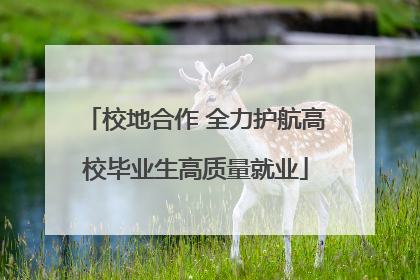 校地合作 全力护航高校毕业生高质量就业