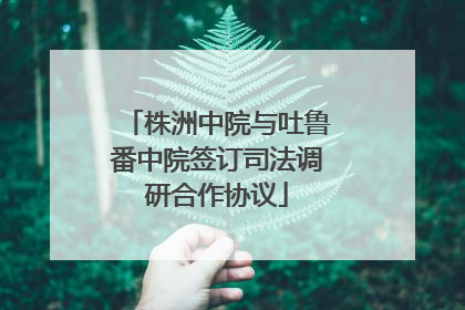 株洲中院与吐鲁番中院签订司法调研合作协议