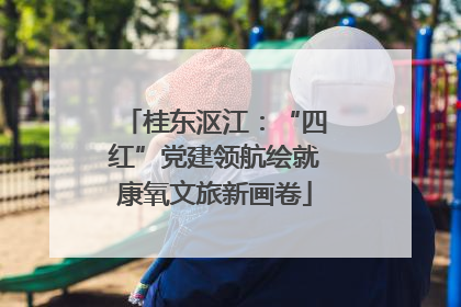桂东沤江：“四红”党建领航绘就康氧文旅新画卷