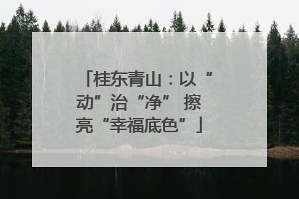 桂东青山：以“动”治“净” 擦亮“幸福底色”