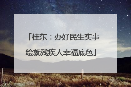 桂东：办好民生实事 绘就残疾人幸福底色