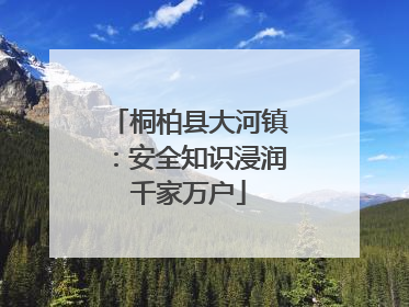 桐柏县大河镇：安全知识浸润千家万户