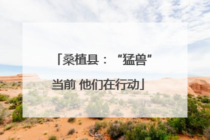 桑植县：“猛兽”当前 他们在行动