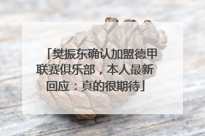 樊振东确认加盟德甲联赛俱乐部，本人最新回应：真的很期待