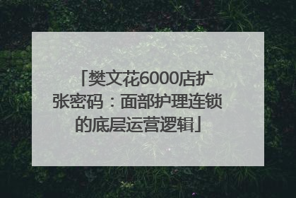 樊文花6000店扩张密码：面部护理连锁的底层运营逻辑