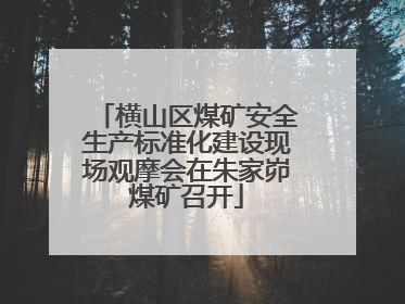 横山区煤矿安全生产标准化建设现场观摩会在朱家峁煤矿召开