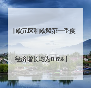 欧元区和欧盟第一季度经济增长均为0.6%