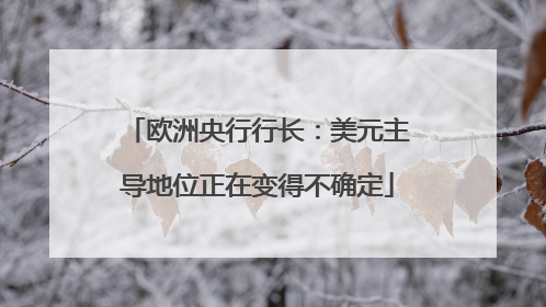 欧洲央行行长：美元主导地位正在变得不确定