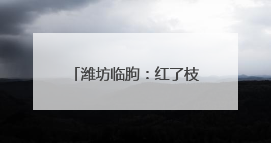 潍坊临朐：红了枝头 甜了心头 油桃丰收季果农笑开颜