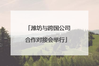 潍坊与跨国公司合作对接会举行
