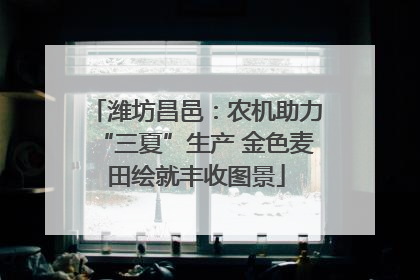 潍坊昌邑：农机助力“三夏”生产 金色麦田绘就丰收图景